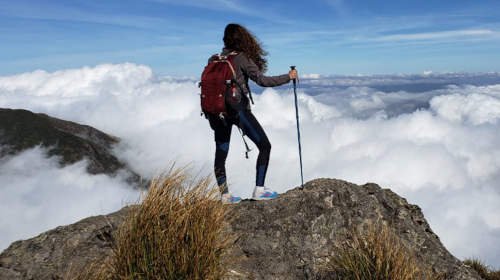 Curso de Ecoturismo: Sustentabilidade, Natureza e Turismo Consciente